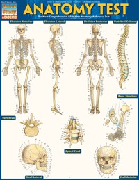 Cover image: Quickstudy -ANATOMY TEST 1st edition 9781423223559