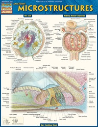 Imagen de portada: Anatomy Microstructures 9781423224150
