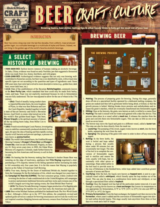 Titelbild: Beer - Craft & Culture 2nd edition 9781423234661
