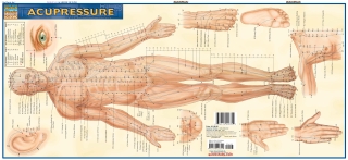 Imagen de portada: Acupressure 9781572228399