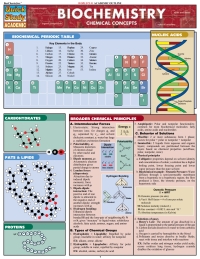 Omslagafbeelding: Bio Lab Basics 9781423204176