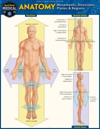 Cover image: Anatomy - Directions, Planes, Movements & Regions 1st edition 9781423248026