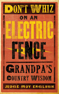 Omslagafbeelding: Don't Whiz on an Electric Fence 9781423607014