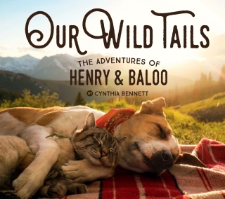 صورة الغلاف: Our Wild Tails 9781423654056