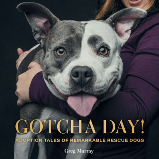 Cover image: Gotcha Day! 9781423655275