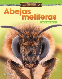 Cover image: Animales asombrosos: Abejas melíferas: Valor posicional ebook 1st edition 9781425828592