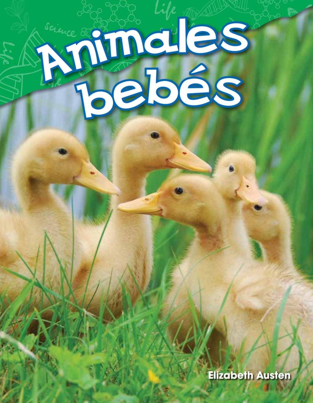 Animales bebés ebook 1st Edition
