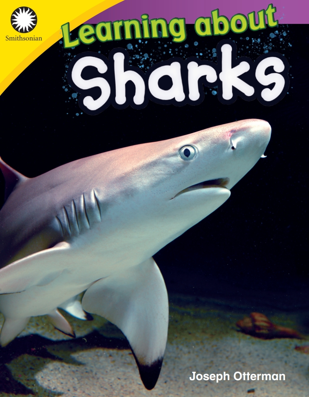 Learning about Sharks 1st Edition