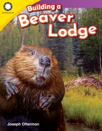 Cover image: Building a Beaver Lodge 1st edition 9781493866335