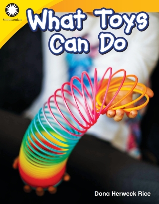 Cover image: What Toys Can Do 1st edition 9781493866380