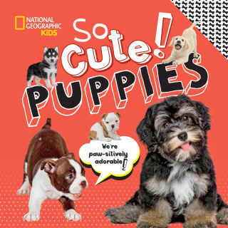 Cover image: So Cute! Puppies 9781426339066