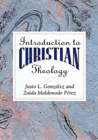 Imagen de portada: Introduction to Christian Theology 9780687095735