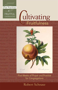 Cover image: Cultivating Fruitfulness 9780687654338