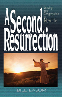 Cover image: A Second Resurrection 9780687646531