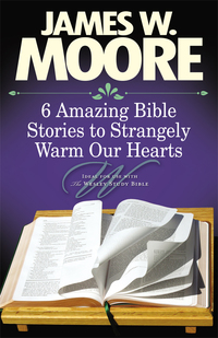 Imagen de portada: 6 Amazing Bible Stories to Strangely Warm Our Hearts 9781426715891