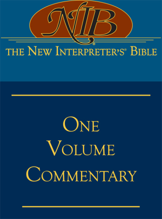 Imagen de portada: The New Interpreter's® Bible One-Volume Commentary 9780687334117