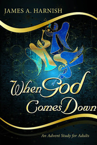 Imagen de portada: When God Comes Down 9781426751080