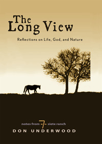 Cover image: The Long View 9781426775970