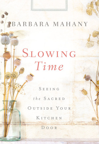 Cover image: Slowing Time 9781630888176