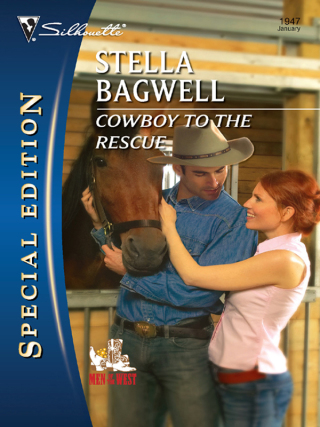 Omslagafbeelding: Cowboy to the Rescue 9780373654291
