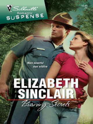 Cover image: Burning Secrets 9780373276165