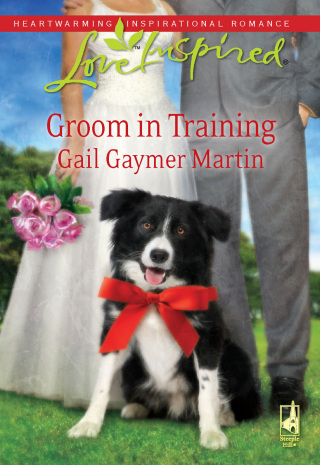 Cover image: Groom in Training 9780373875795