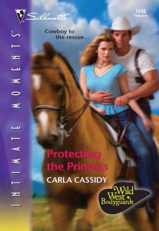 Immagine di copertina: Protecting the Princess 9780373274154