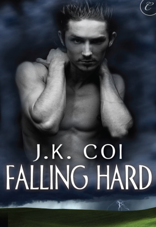 Cover image: Falling Hard 9781426891915