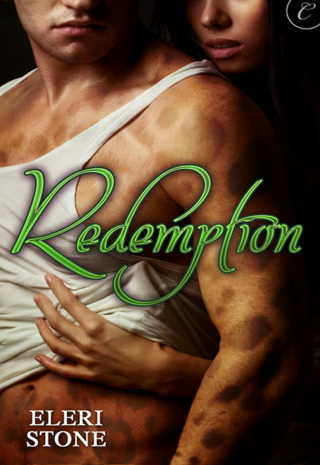 Cover image: Redemption 9781426892332