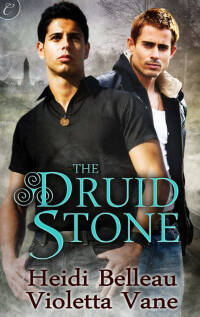 Cover image: The Druid Stone 9781426894190