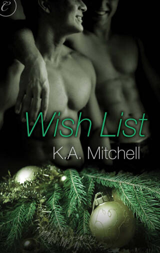 Immagine di copertina: Wish List 9781426894756