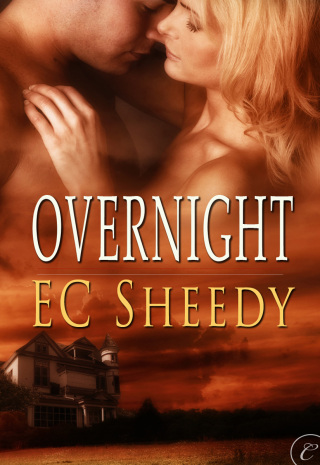 Cover image: Overnight 9781426896781