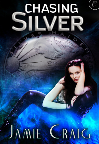 Cover image: Chasing Silver 9781426896835