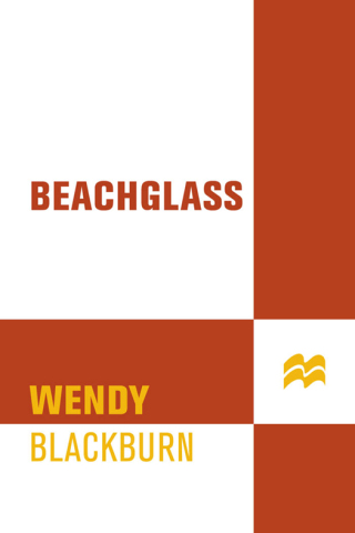 Imagen de portada: Beachglass 9780312351595