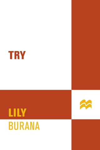 Imagen de portada: Try 9780312355050