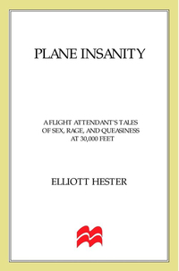 Cover image: Plane Insanity 9780312310066