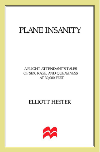 Cover image: Plane Insanity 9780312310066