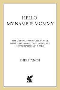 Cover image: Hello, My Name Is Mommy 9780312318321