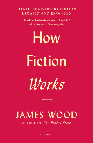 Cover image: How Fiction Works 9780312428471