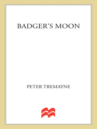 Cover image: Badger's Moon 9780312323417