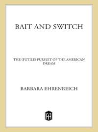 Cover image: Bait and Switch 9780805081244