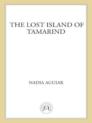 Cover image: The Lost Island of Tamarind 9780312380298