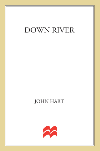 Cover image: Down River 9780312677381