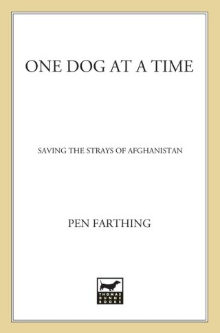 Imagen de portada: One Dog at a Time 9780312607746