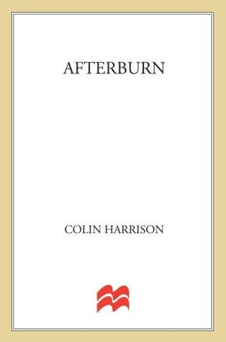 Cover image: Afterburn 9780374102050