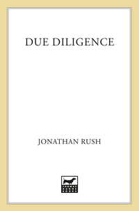 Cover image: Due Diligence 9780312559779