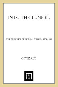 Cover image: Into the Tunnel 9780805089141