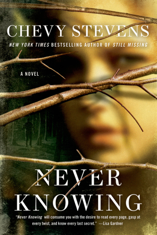 Cover image: Never Knowing 9781250067265