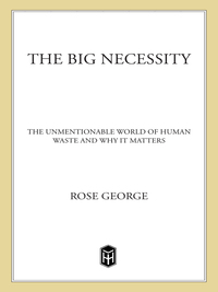 Cover image: The Big Necessity 9781250058300