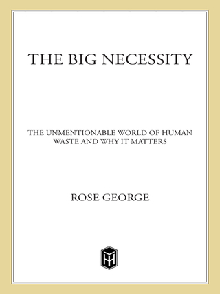Cover image: The Big Necessity 9781250058300